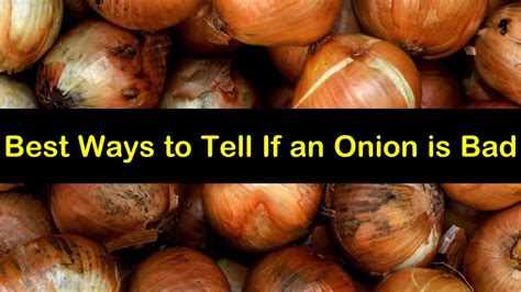 Top 9 How To Tell If Onions Are Bad 2022
