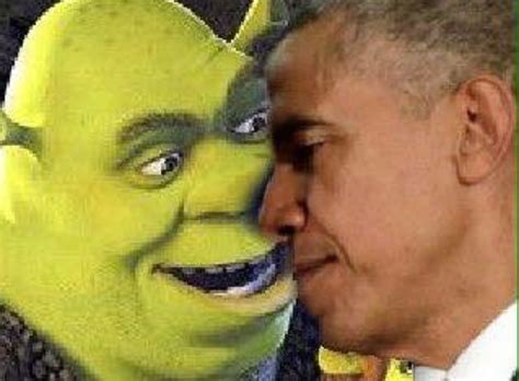 Shrek And It Meme