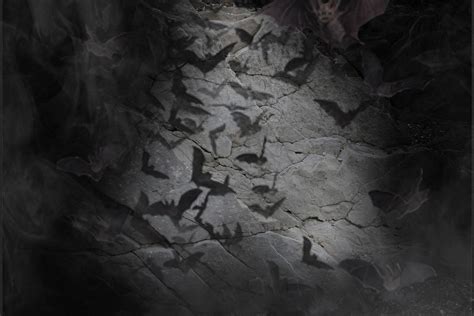 Bat Cave Digital Background Digital Backdrop Cosplay Etsy