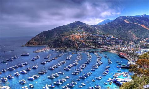 Santa Catalina Island Ca Avalon California Cruise Port Schedule