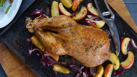 Ente Niedrigtemperatur Gänsebrust oder Martinsgans langsam garen