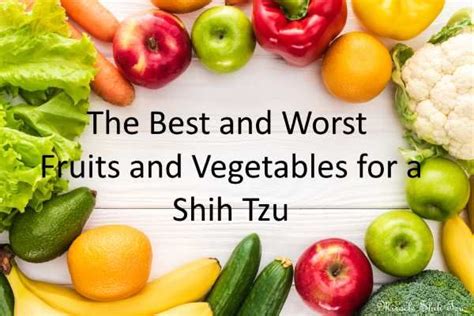 The Best And Worst Fruits And Vegetables For A Shih Tzu Food Organic