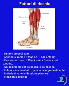 Il tendine di achille è il tendine più grosso e robusto del corpo umano. Rottura del Tendine d'Achille: i Sintomi e la Riabilitazione