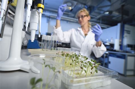 Dna banking is the secure, long term storage of an individual's genetic material. DNA bank & genotyping service - DNA Bank