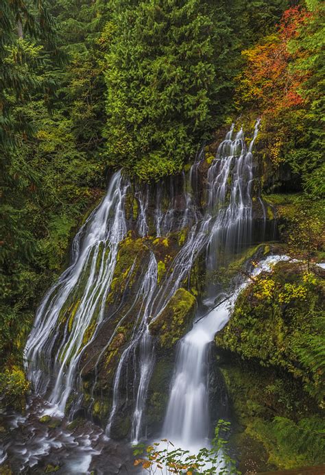 Panther Creek Falls Photograph By Loree Johnson Fine Art America