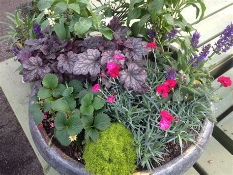 Perennial Container Garden Front Yard Landscaping