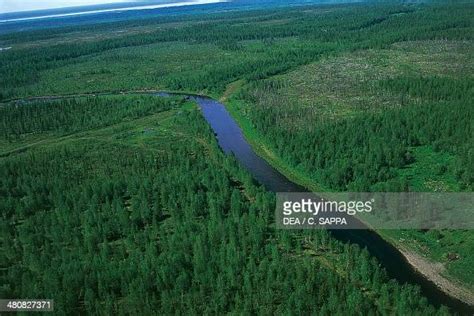 Aerial View Of Yenisey River Surroundings Of Igarka Siberia Russia