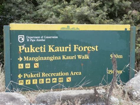Puketi Nature Trail Kerikeri Aktuelle 2019 Mit Fotos Tripadvisor