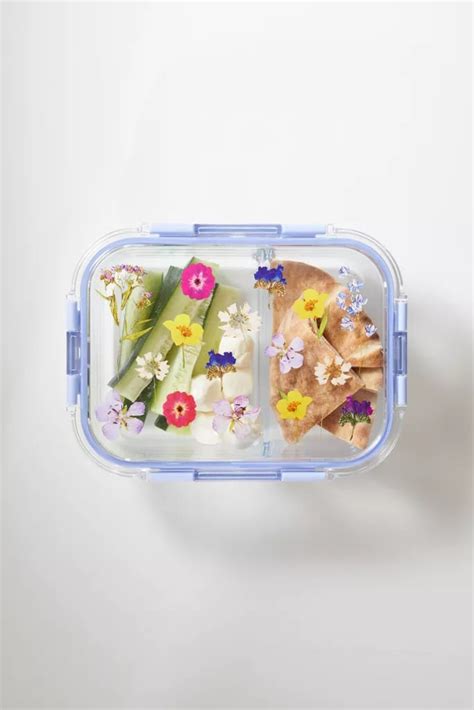 Large Graphic Glass Reusable To Go Container Best Food Storage