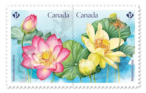 Canada Post Launches Flower Stamp Landscape Ontario