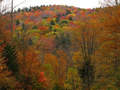 Find images of mountains west virginia. File:Autumn-colors-mountains - West Virginia ...
