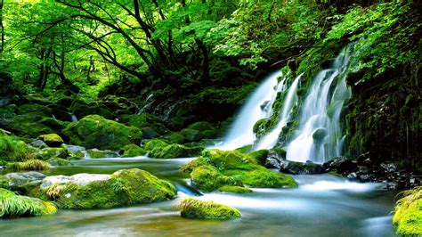 Green Waterfall River Rocks Covered With Green Moss Forest Waterfall