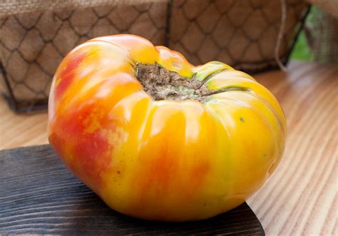 Hawaiian Pineapple Heirloom Tomato Premium Seed Packet Etsy