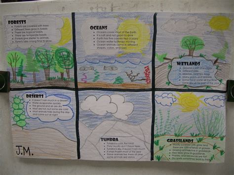 Which animals did they struggle with and why? Habitats - Have the students make up bullet facts on ...