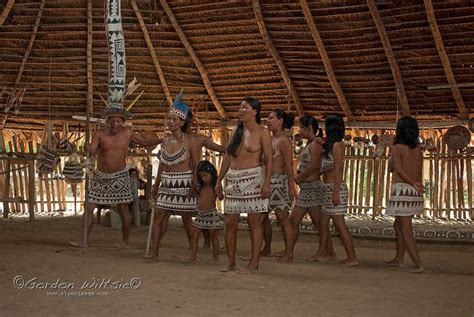 amazon indians of the bora tribe near iquitos amazon girl iquitos amazon