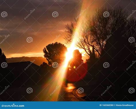 Sunsetting Beauty Ray Stock Photo Image Of Beauty Trees 160368280