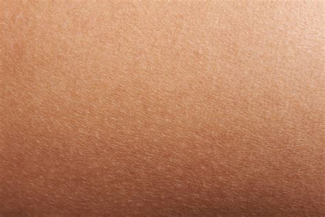 Human Skin Textures