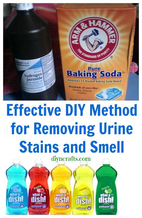 Good for you if you already have the urine cleaning agents. Effective DIY Method for Removing Urine Stains and Smell ...