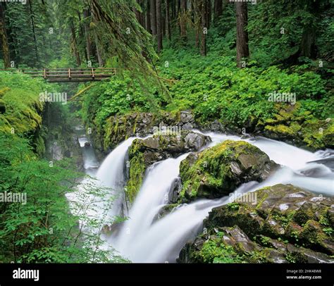 Washington State Olympic National Park Sol Duc Falls With Bridge Over