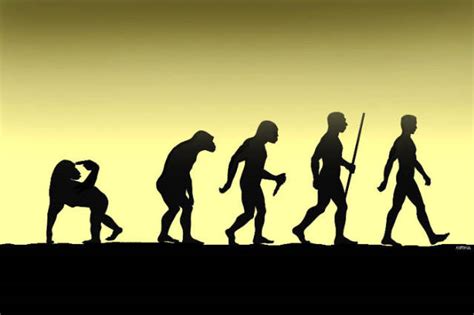 Funny Illustrations Of Evolution Of Man 42 Pics