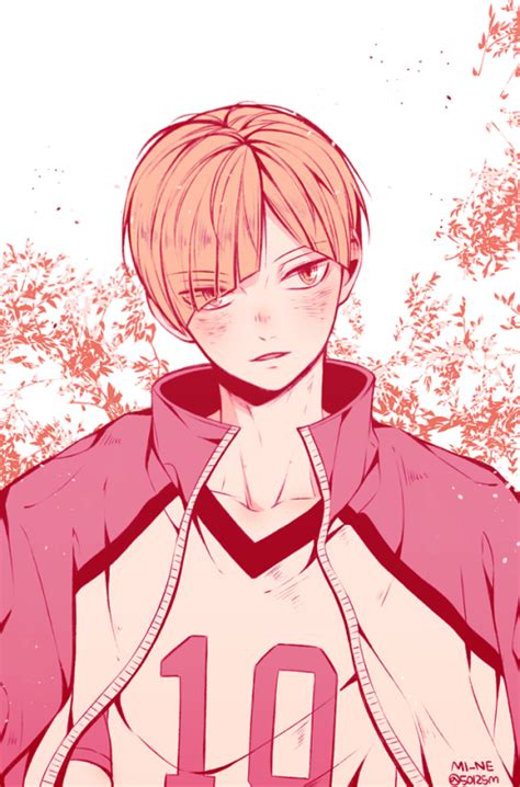 shirabu kenjirou shiratorizawa haikyuu | 影日, 影菅, 国影 That's why for your convenience we have prepared this haikyuu!!