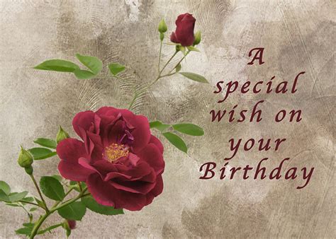 Maybe you would like to learn more about one of these? Red Rose Birthday Wish Photograph by Michael Peychich