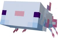 Axolotl sticker telegram raccoons, axolotl minecraft, food, sticker png. Axolotls Replica Concept Minecraft PE Addon