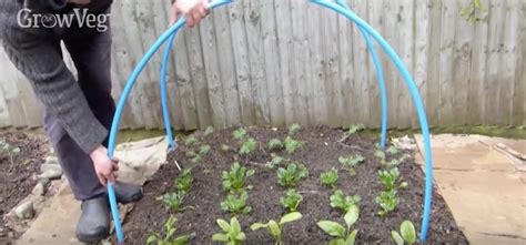 Made of raw metal, a barrington spiral plant support has a decorative steel ball on its tip. How to Make a Row Cover Tunnel (Hoop House)