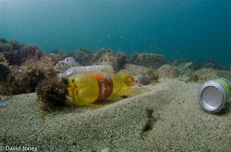 Plastic Pollution Issues Just One Ocean