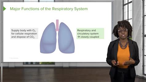 Respiratory System Physiology Nursing Video Lecturio