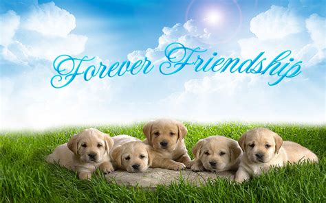 Whatsapp Group Dp For Friends Forever Download Animaltree