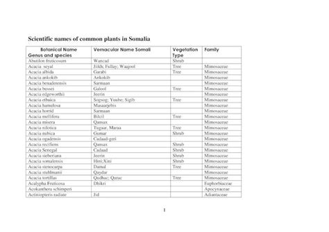Scientific Names Of Common Plants In Somalia Swe Names