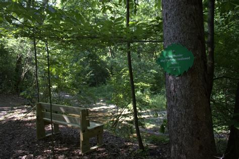 Photos New Haiku Trail Opens At Hueston Woods State Park