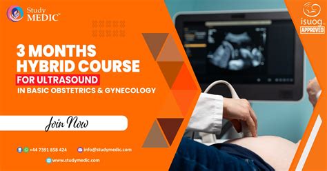 Ultrasound Course In Obstetrics And Gynecology 3 Months Course