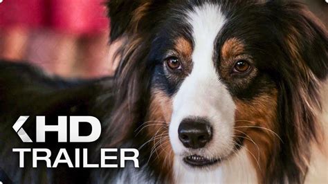 Show Dogs Trailer Kinocheck