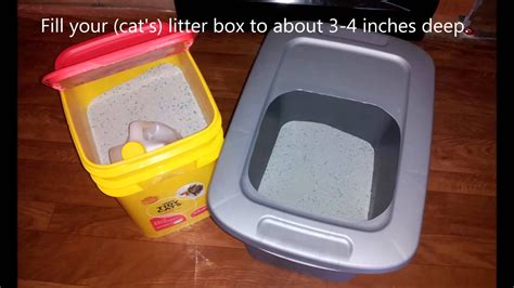To speed up the process, provide multiple litter boxes with. DIY Top Entry Cat Litter Box For Under $5 Dollars! - YouTube
