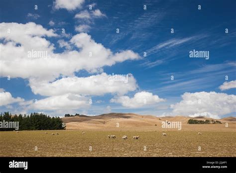 Greytown New Zealand Hi Res Stock Photography And Images Alamy