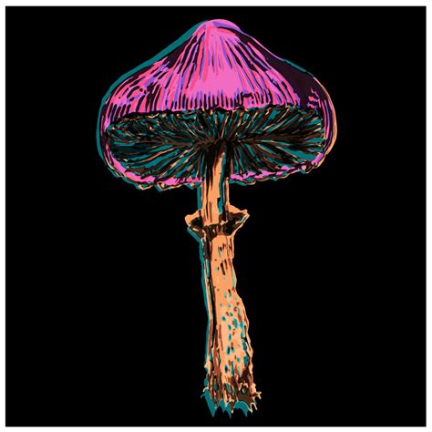 Psychedelic Mushroom On Behance