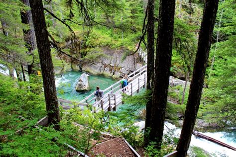 5 Great Reasons Why You Should Visit Vancouver Island Canada