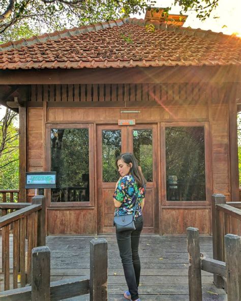 Buluh berlangsung kurang maksimal, terutama pada. Asri dan Unik, Nikmati Wisata Hutan Mangrove Wonorejo di Surabaya