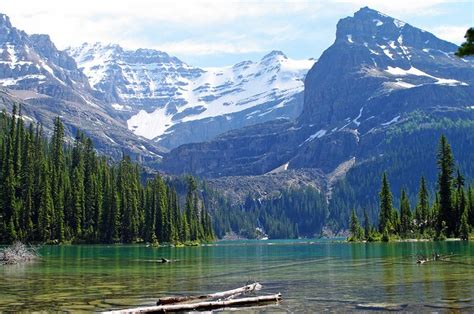 9 Top Rated Attractions In Yoho National Park Planetware