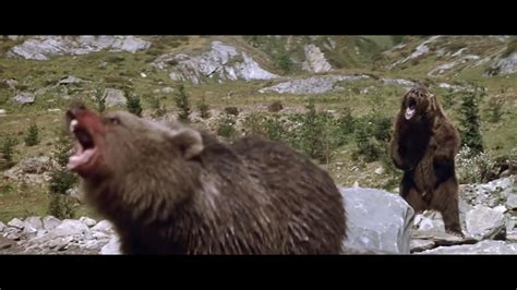 The Bear 1988 Absolutely Loved This Movie As A Kid Rnostalgia