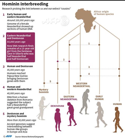 new evidence of interbreeding among early human species this time it s the neanderthals and the