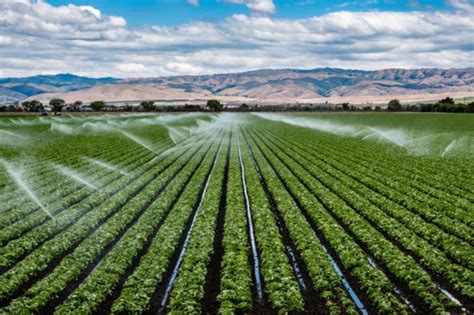 Benefits Of Using Ozonated Water For Irrigation