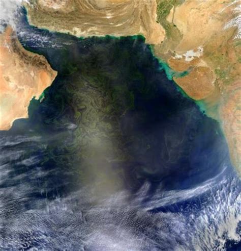 Theres An Algae Bloom The Size Of Mexico In The Arabian Sea Right Now