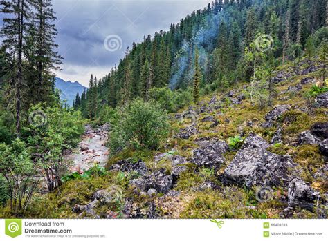 Smoke From The Fire On The Mountain Taiga Stock Image Image Of Range