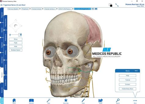 Homepage 3d modeled by physicians and anatomy experts. Visible Body Human Anatomy Atlas for PC (Free Download)