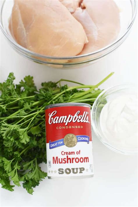 Campbells Cream Of Mushroom Chicken All Mushroom Info