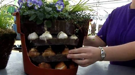Planting Tips For Bulbs In A Container Youtube