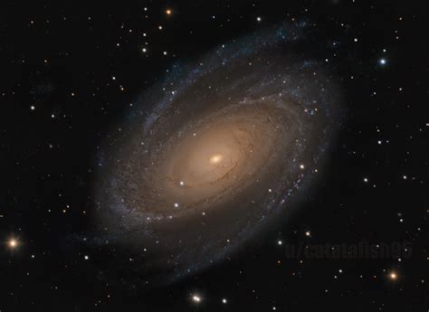 M81 Bodes Galaxy Rastrophotography